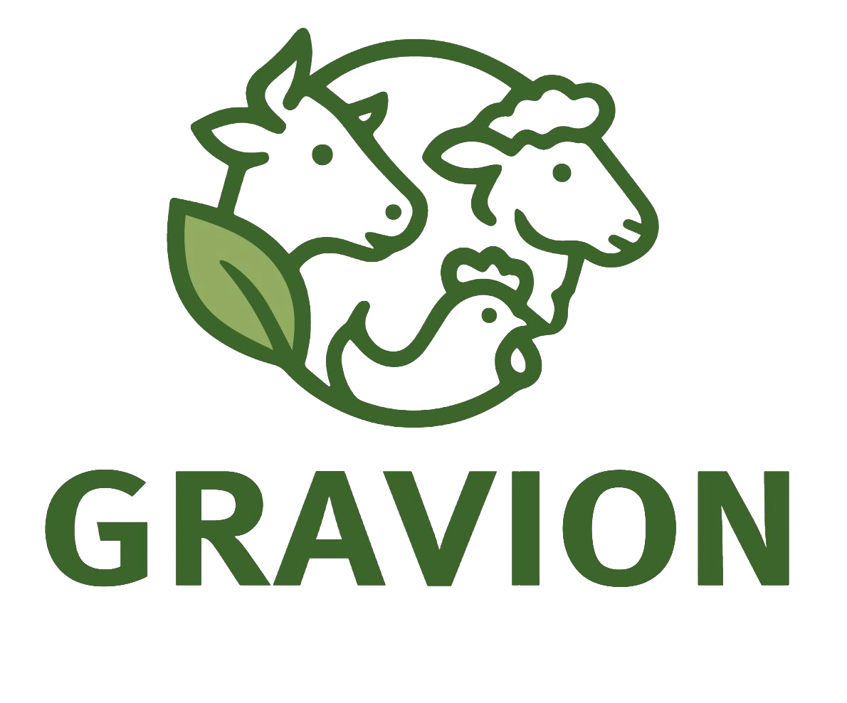 Gravion Logo